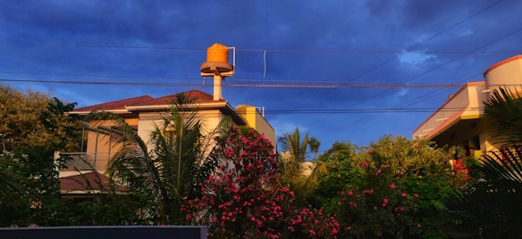 A residential area featuring a house with a tiled roof and a prominent water tank on top. Surrounding the house are lush green trees and vibrant pink flowers. Overhead, power lines stretch under a deep blue, cloudy sky.
