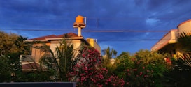 A residential area featuring a house with a tiled roof and a prominent water tank on top. Surrounding the house are lush green trees and vibrant pink flowers. Overhead, power lines stretch under a deep blue, cloudy sky.