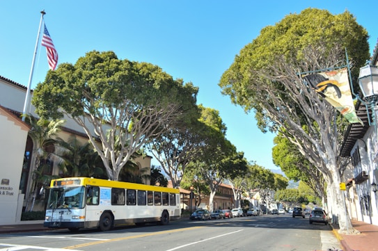 A city street lined with large, leafy trees on either side. A public bus with a yellow stripe is traveling on the road, and several cars are parked along the curb. An American flag is flying from a flagpole on the left side. Buildings with clean architectural lines and signage are visible along the street.