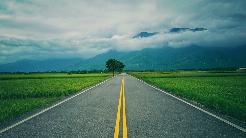 gray concrete road between green grass field under white clouds during daytime