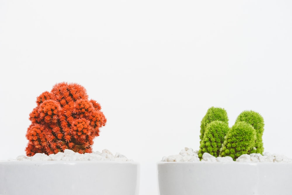 a couple of white pots filled with plants