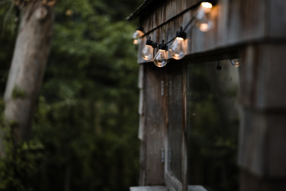 ampoule sur planche de bois marron