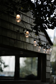 a bunch of lights that are hanging from a tree