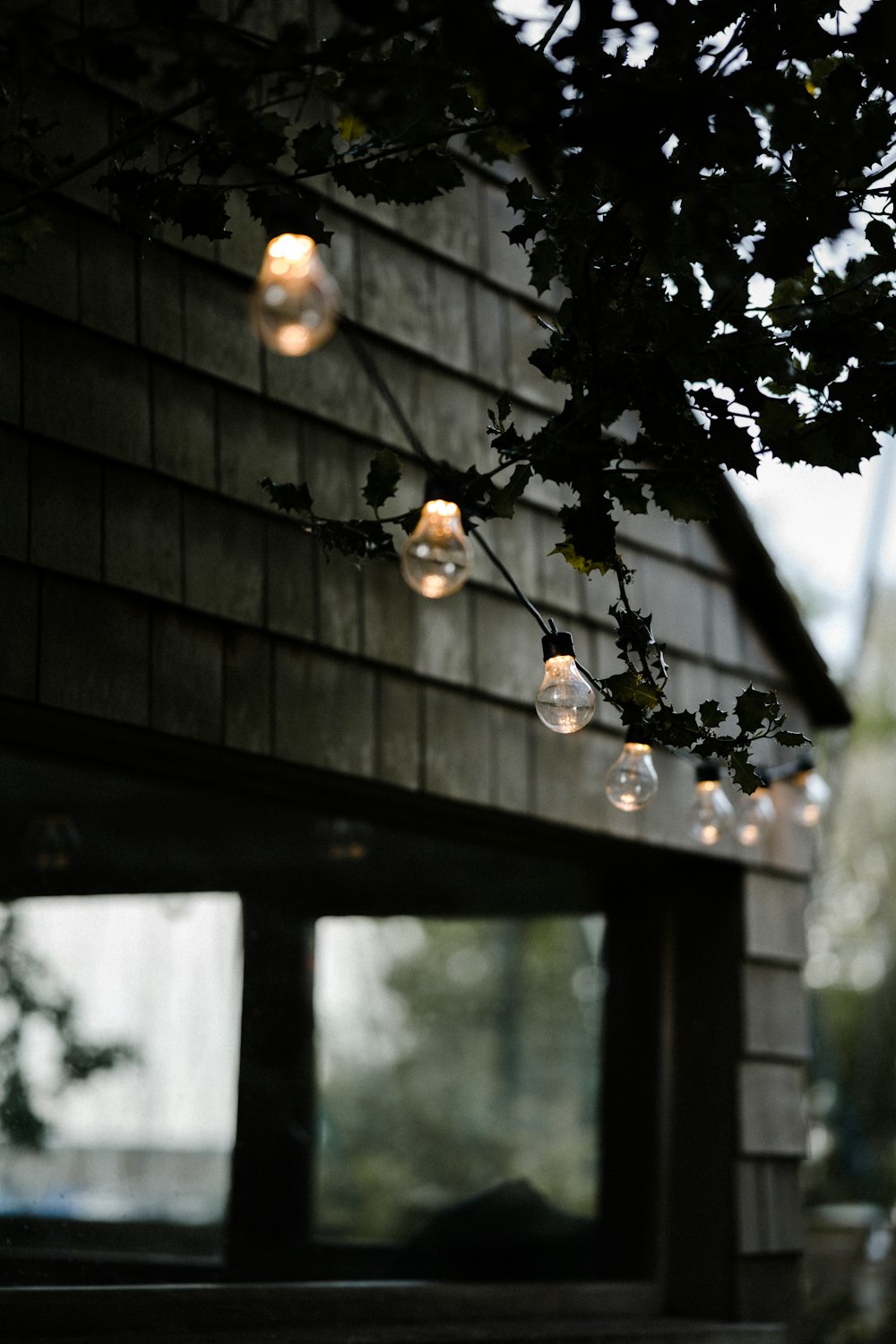 un tas de lumières suspendues à un arbre