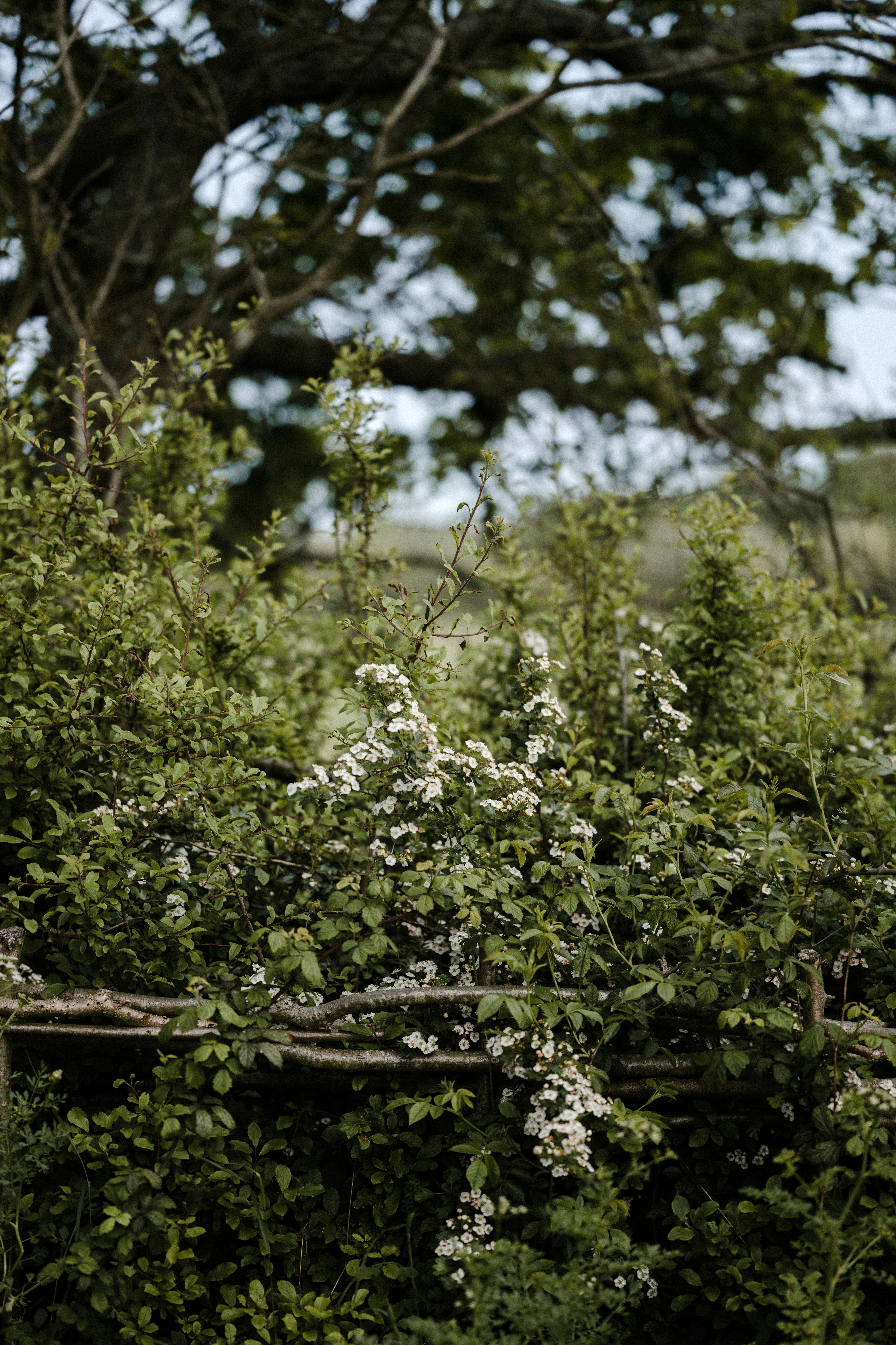 Photo by anniespratt