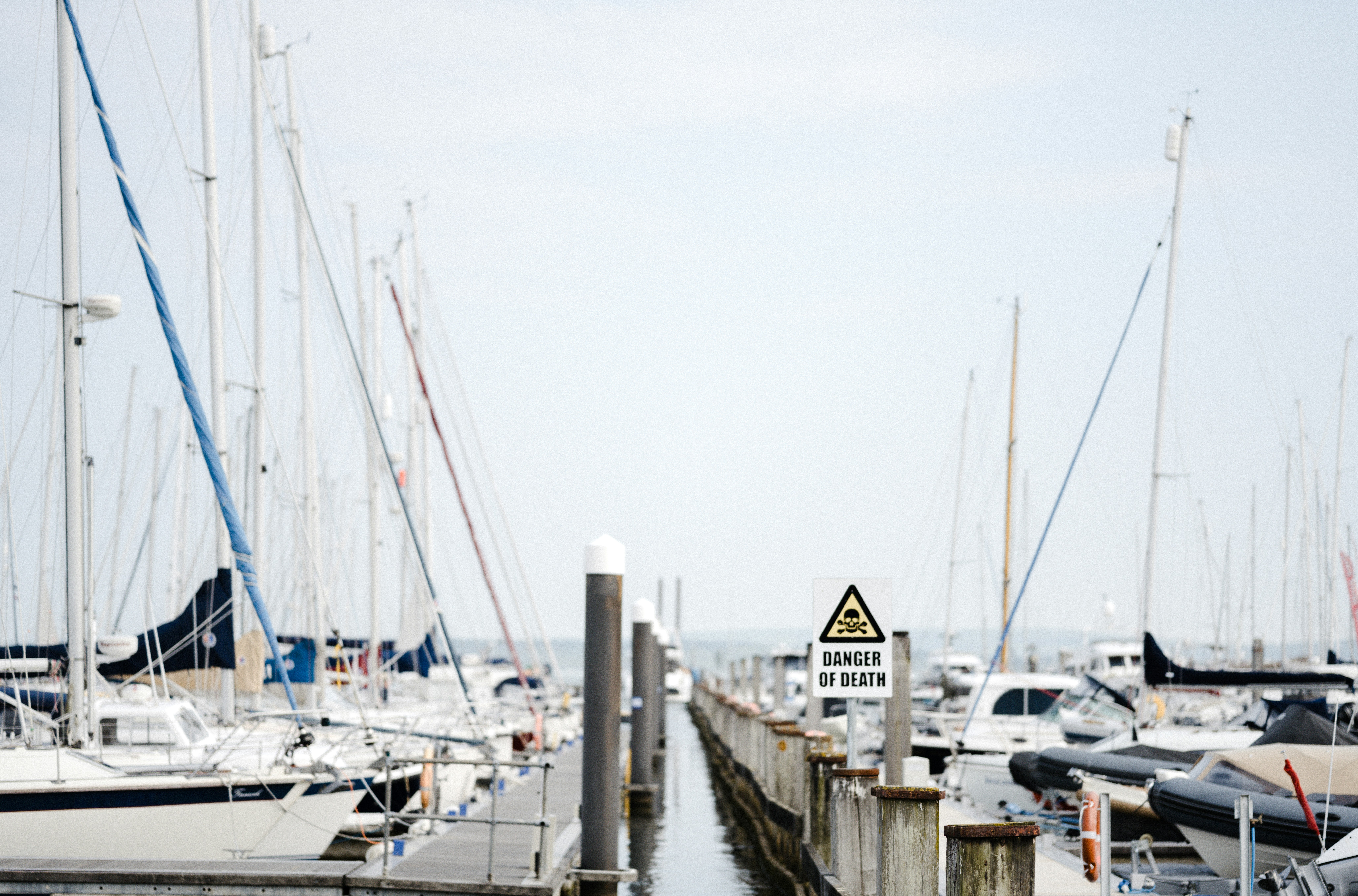 Photo by anniespratt