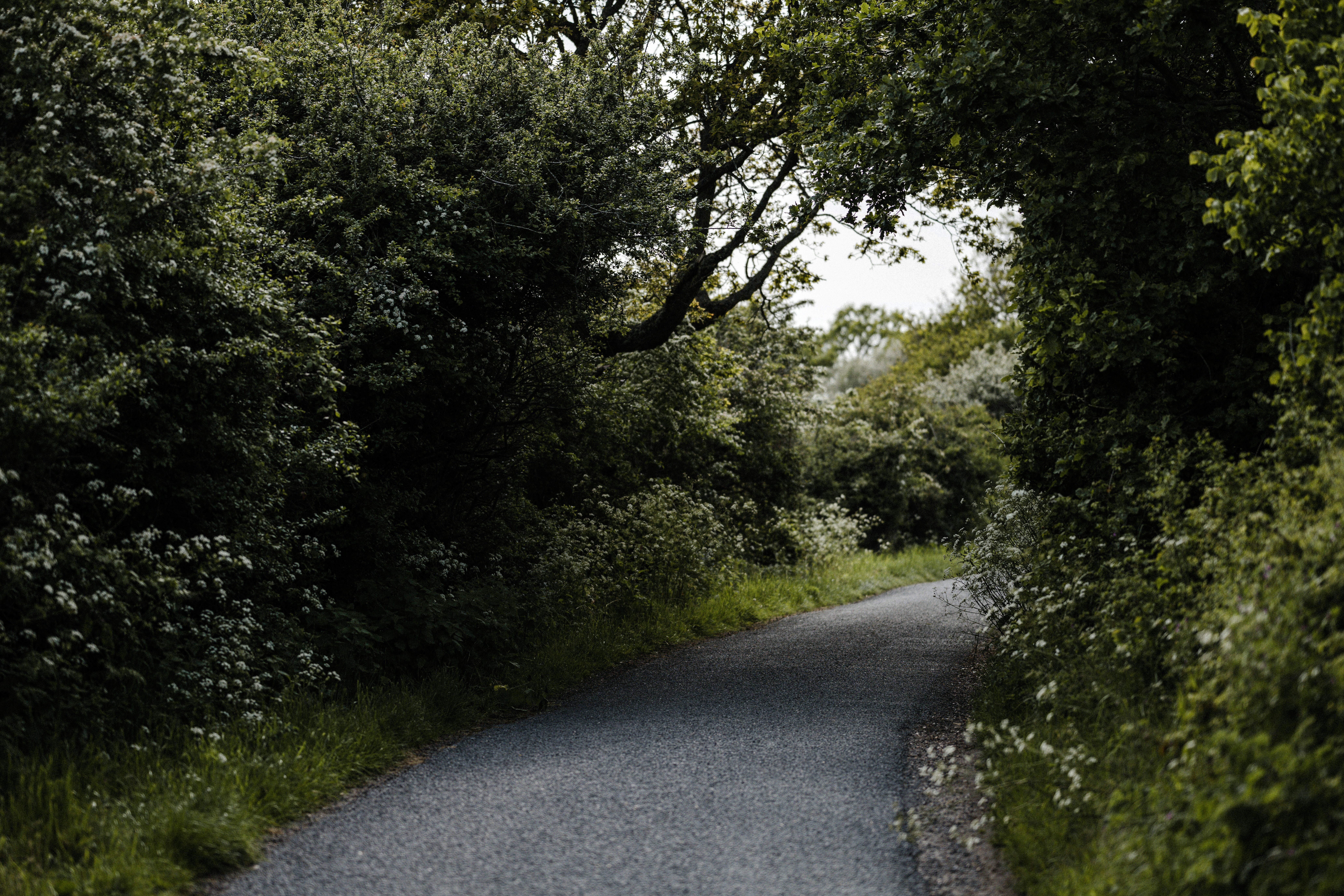 Photo by anniespratt