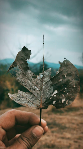 Close-up of a weathered hand clutching a faded photograph, symbolizing memories at risk of being lost.
