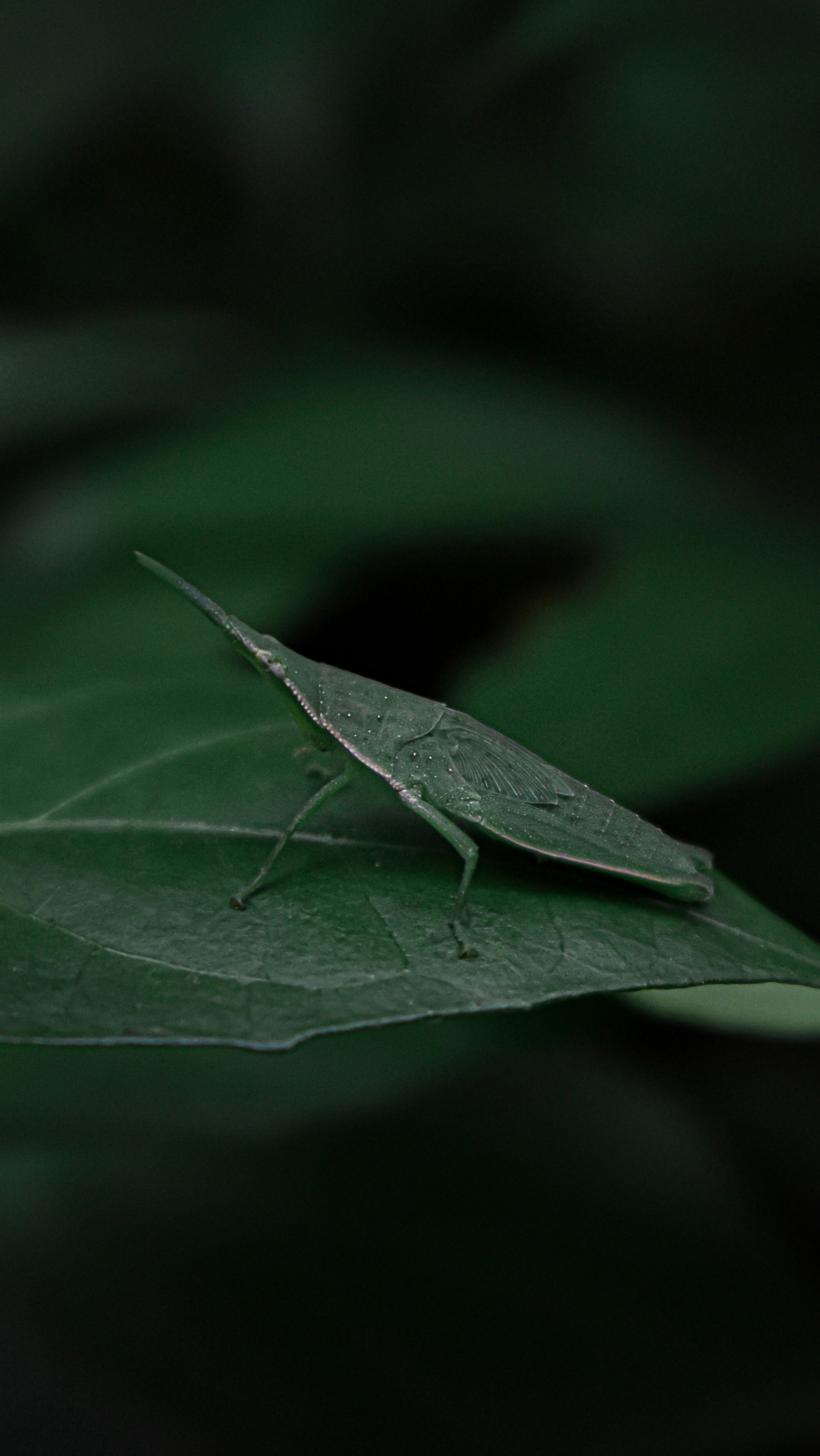 Photo by im_amal_raj