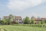 A rural landscape featuring several brick houses with slanted roofs surrounded by lush green trees and shrubs. The foreground consists of a verdant field with neatly cultivated crops. The sky overhead is partly cloudy, adding a serene touch to the overall scene.