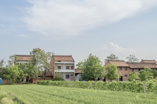 A rural landscape featuring several brick houses with slanted roofs surrounded by lush green trees and shrubs. The foreground consists of a verdant field with neatly cultivated crops. The sky overhead is partly cloudy, adding a serene touch to the overall scene.