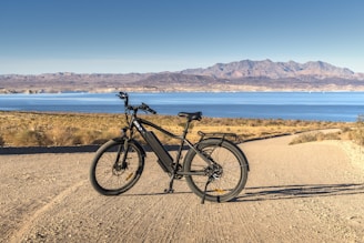 black and gray hardtail mountain bike on brown sand near body of water during daytime