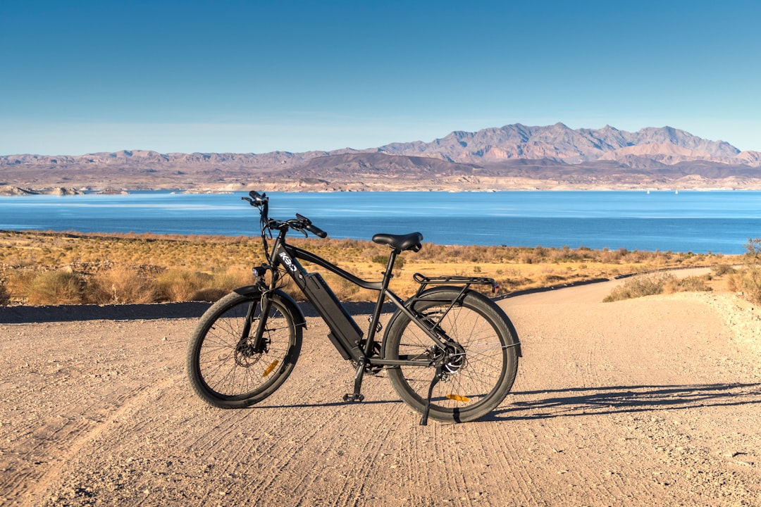 Pourquoi le vélo électrique est un moyen de transport écologique ?