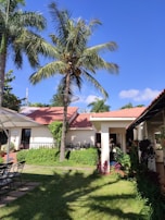 A picturesque garden with tropical plants and a tranquil seating area.