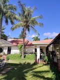 A tranquil garden setting with a lush green lawn and various tropical plants. A tall palm tree stands prominently, surrounded by well-maintained shrubs and bushes. In the background, there's a cream-colored building with a red-tiled roof, adding a touch of warmth to the scene. Off to the side, there are black wrought-iron chairs and a table under a canopy, suggesting a resting area. The sky is clear with a vibrant blue color.