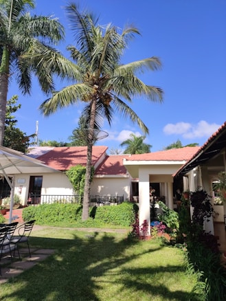 A tranquil garden setting with a lush green lawn and various tropical plants. A tall palm tree stands prominently, surrounded by well-maintained shrubs and bushes. In the background, there's a cream-colored building with a red-tiled roof, adding a touch of warmth to the scene. Off to the side, there are black wrought-iron chairs and a table under a canopy, suggesting a resting area. The sky is clear with a vibrant blue color.
