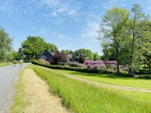A picturesque rural scene featuring a road curving through a lush, green landscape. On the left, two people are cycling along the road. In the background, a charming house is surrounded by vibrant pink and purple flowering bushes. The sky is clear with a few wispy clouds, and trees with fresh green foliage line the road and surround the house.
