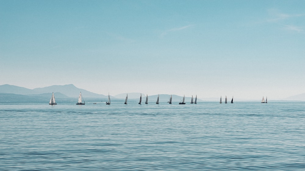 a group of sailboats floating on top of a large body of water