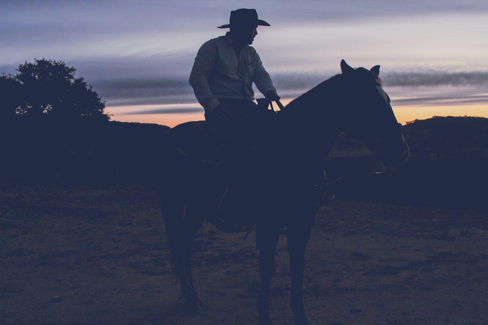 a man riding on the back of a brown horse