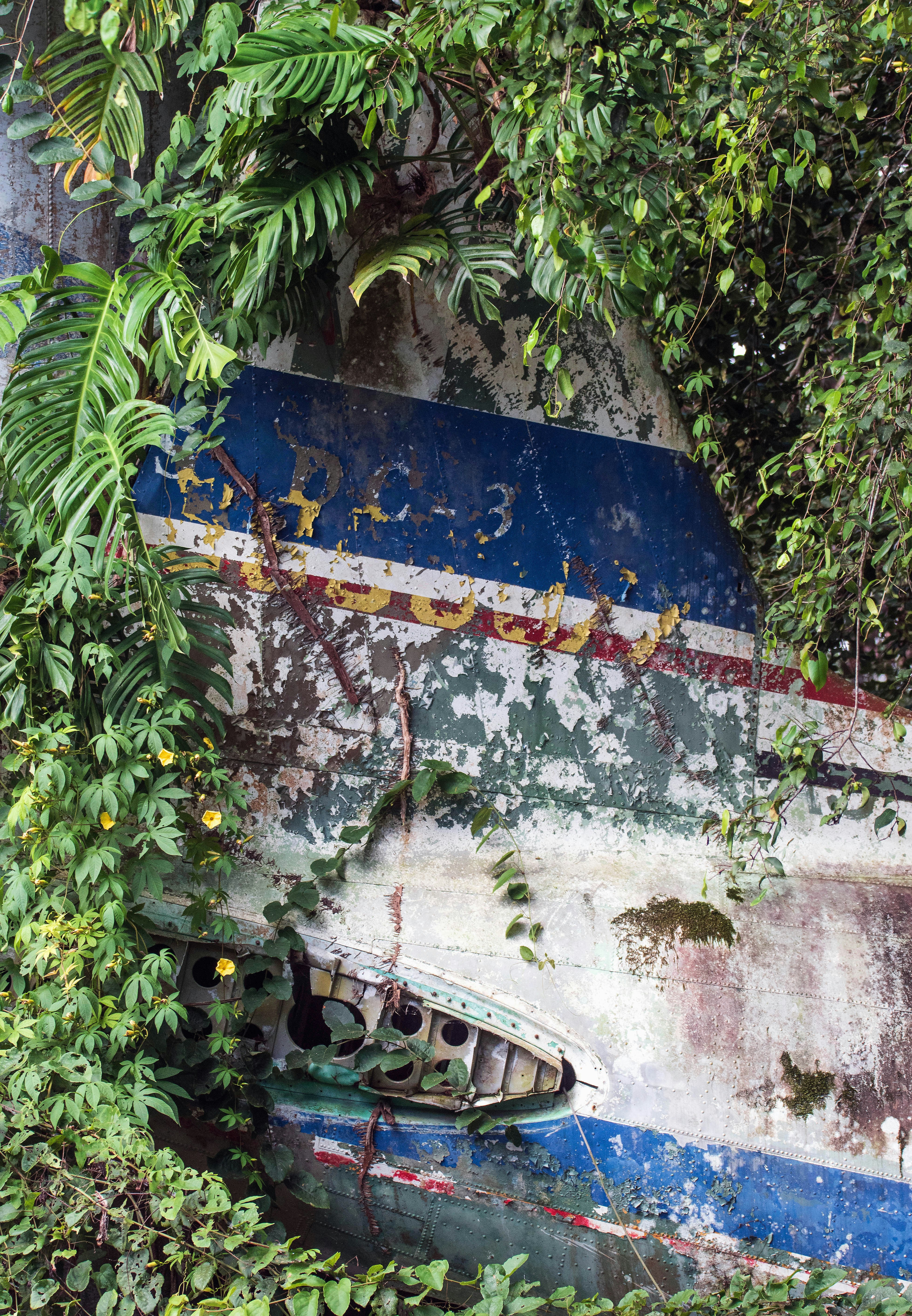 Ein Boot, das im Gras sitzt