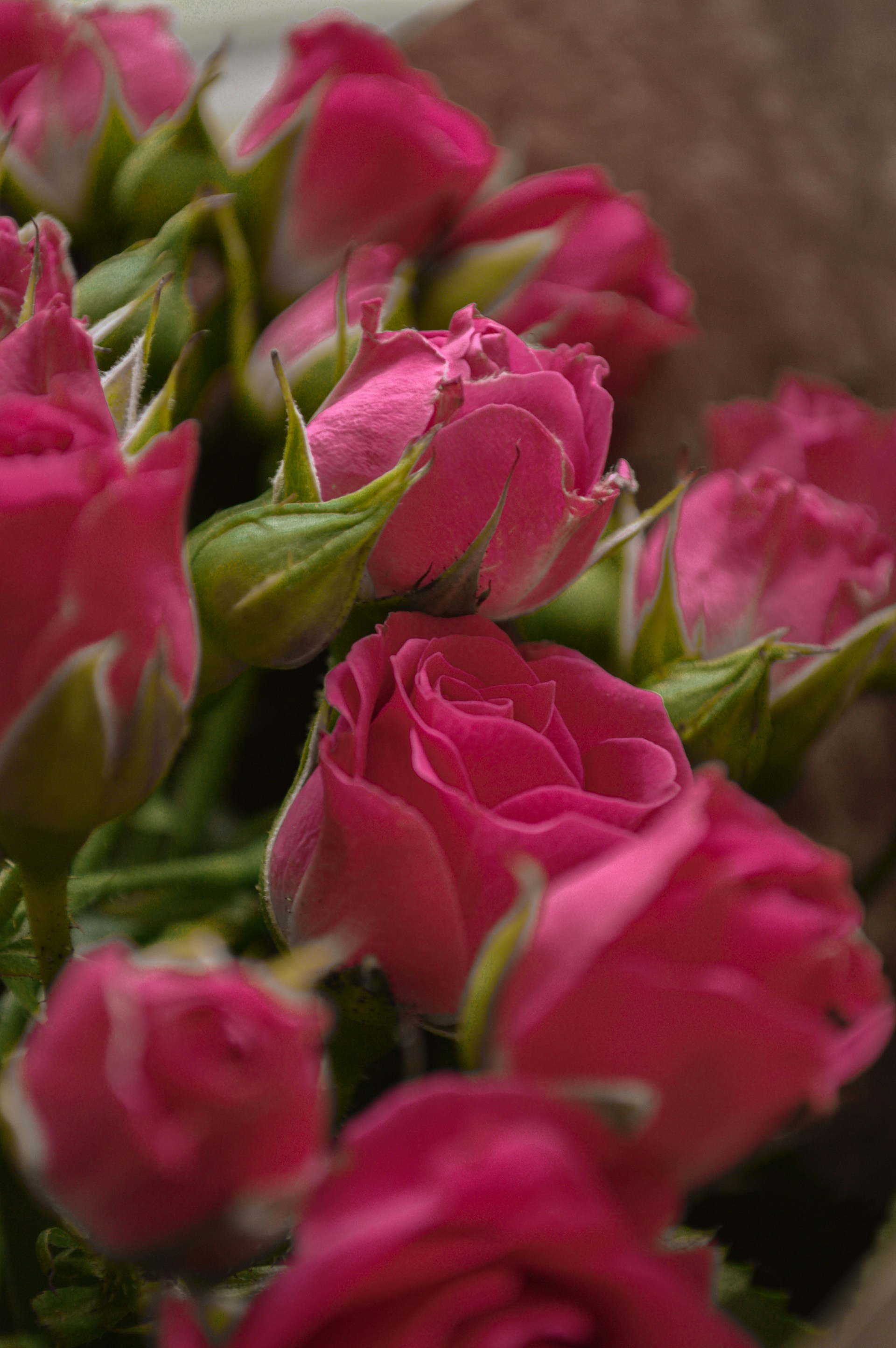 a bunch of pink roses sitting on top of a table