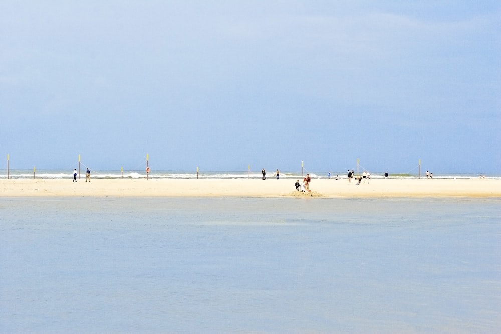 a group of people standing on top of a sandy beach