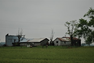green grass field near house during daytime
