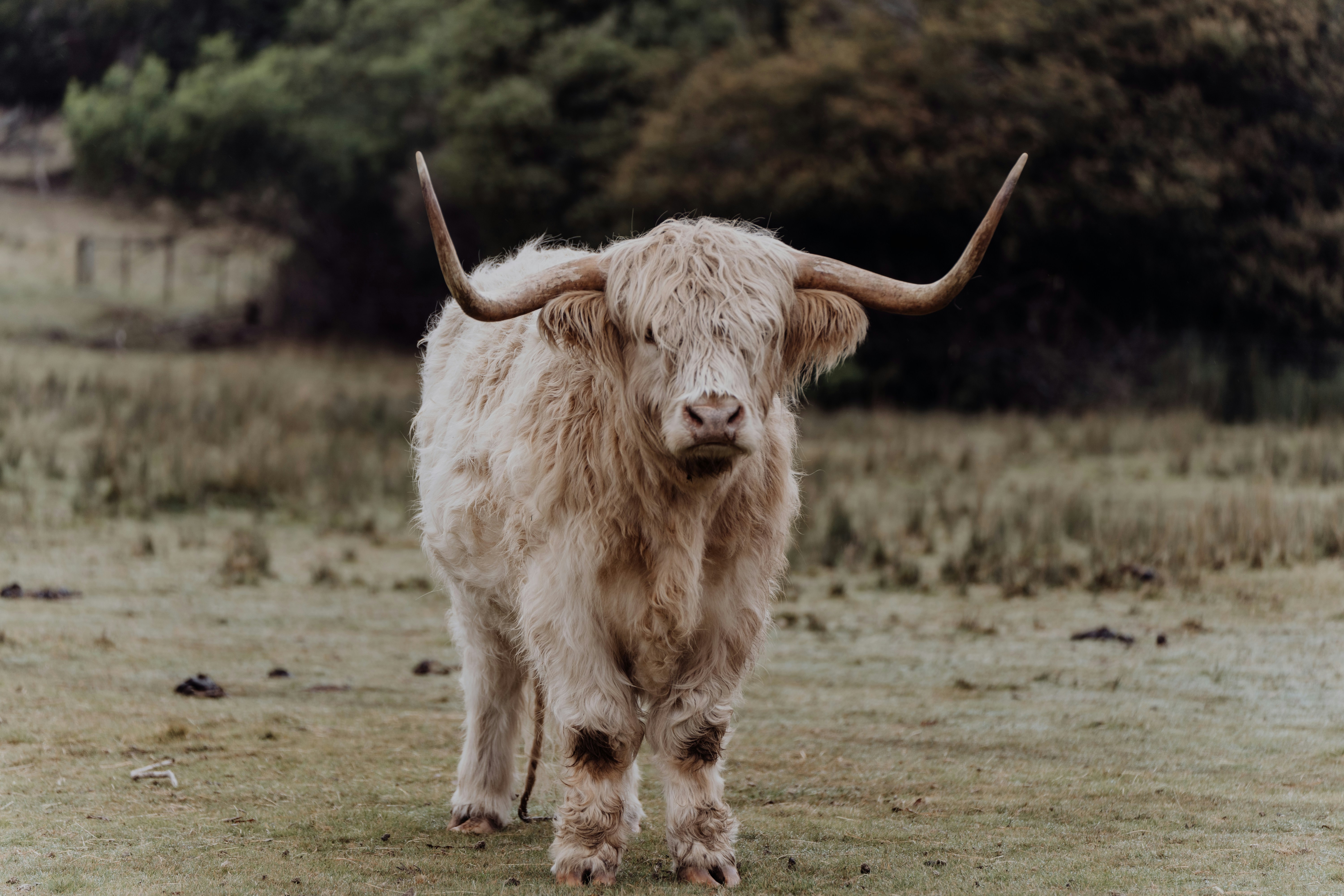 Photo by joshwithers