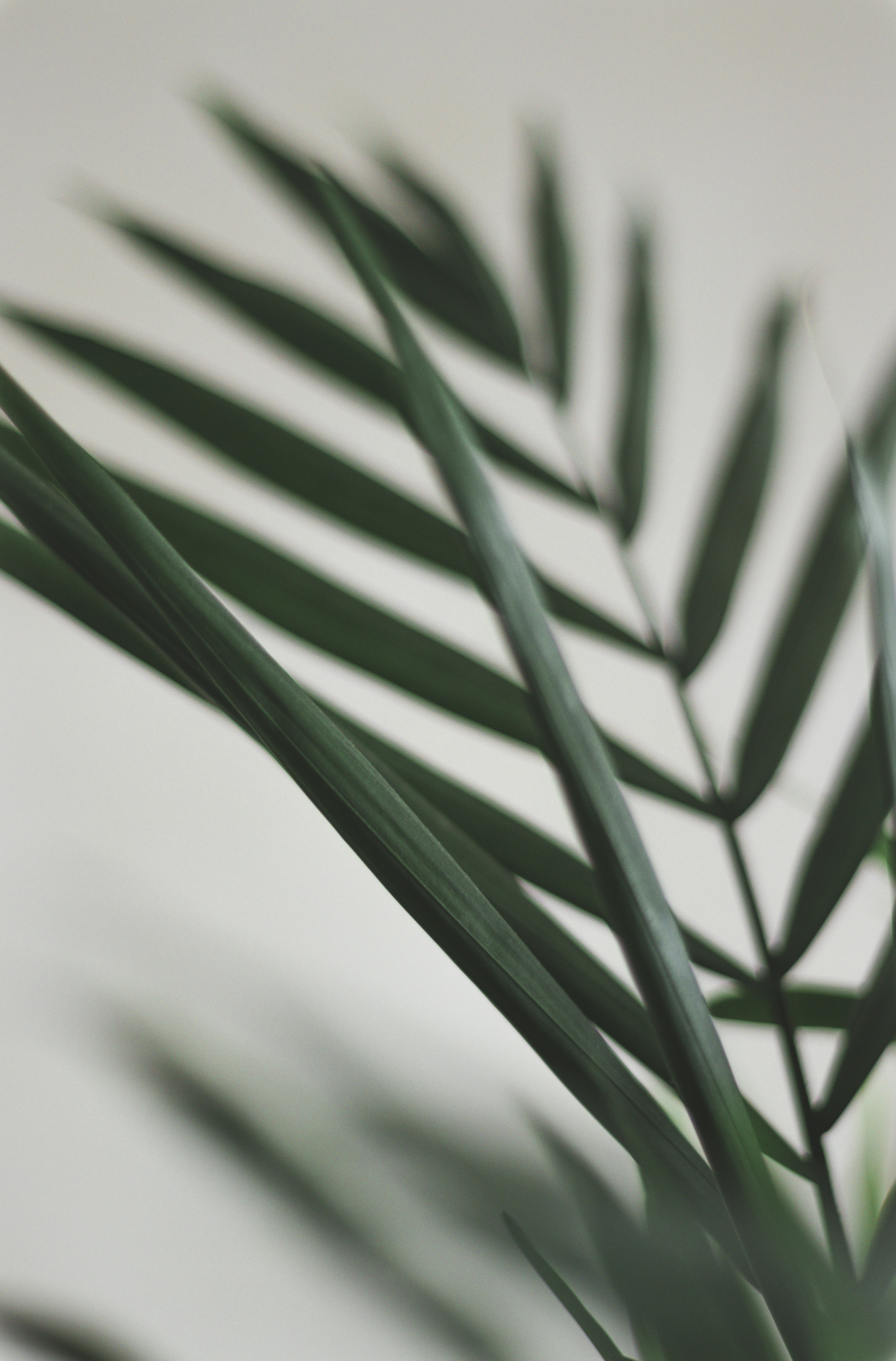 Photo by behy_studio