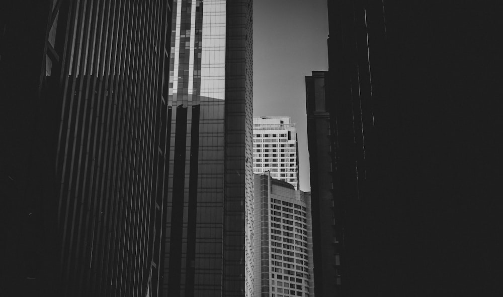 a black and white photo of tall buildings