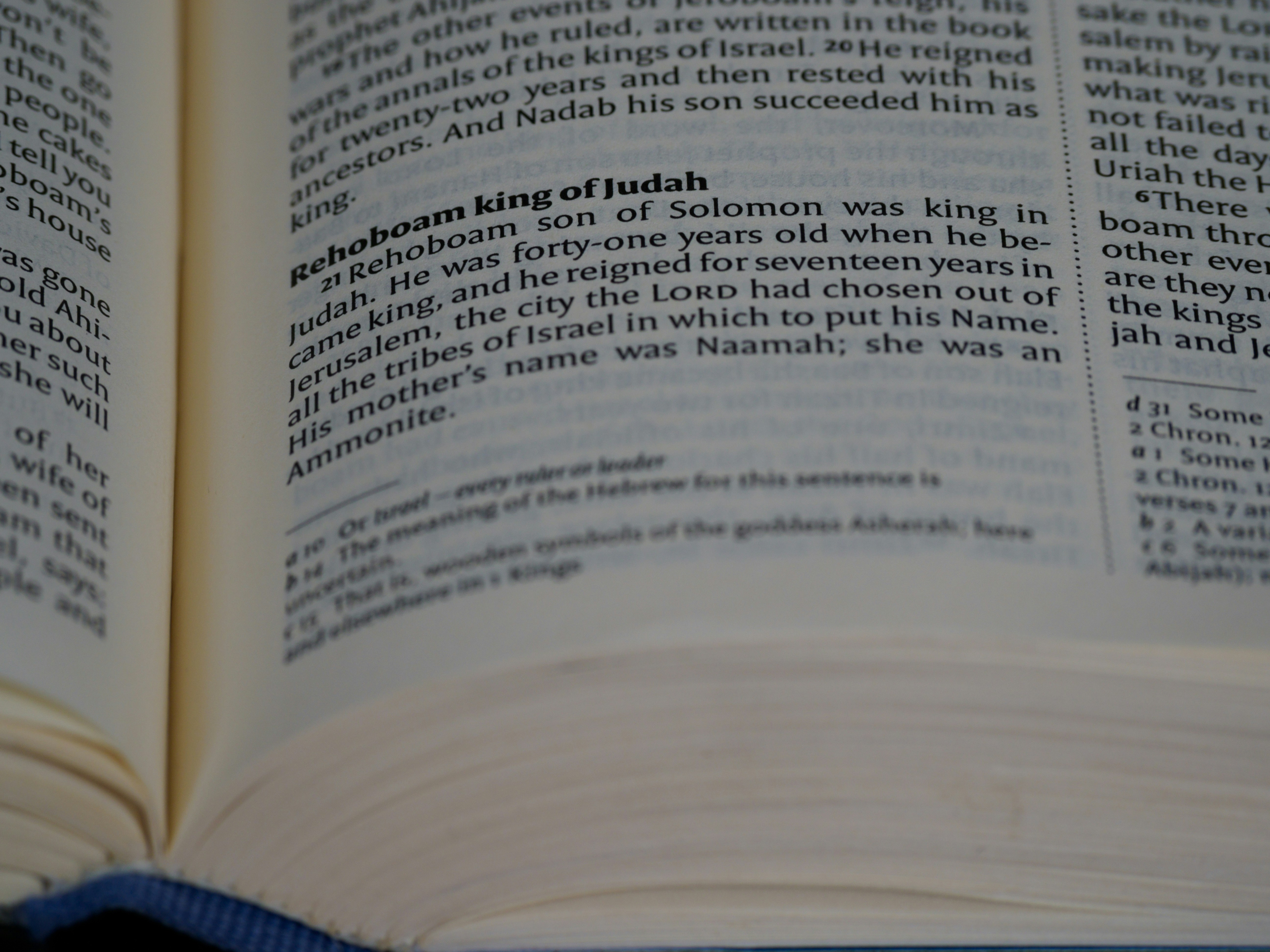 photo-1622808957568-dd531d540ee8?ixid=M3wxMjA3fDB8MXxzZWFyY2h8M3x8JUUwJUI4JTk3JUUwJUI4JUIyJUUwJUI4JTg3JUUwJUI5JTgwJUUwJUI4JTgyJUUwJUI5JTg5JUUwJUI4JUIyJTIwdWZhYmV0JTIwJUUwJUI4JUExJUUwJUI4JUI3JUUwJUI4JUFEJUUwJUI4JTk2JUUwJUI4JUI3JUUwJUI4JUFEfGVufDB8fHx8MTc1MTc1MDU0M3ww\u0026ixlib=rb-4.1.0