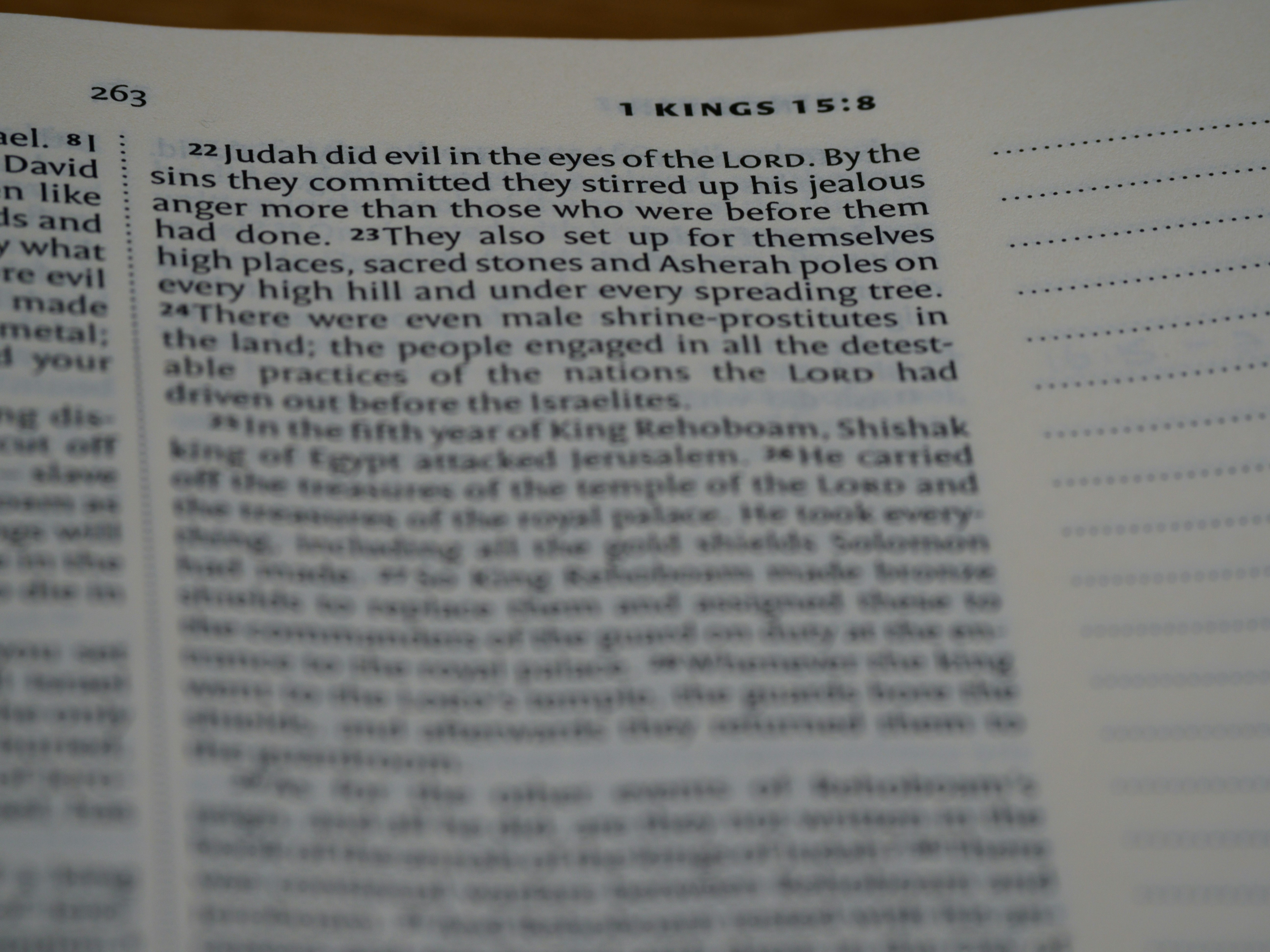 Lufthansa skakar världen: 20 000 flyg ställs in – en katastrof för resenärer!