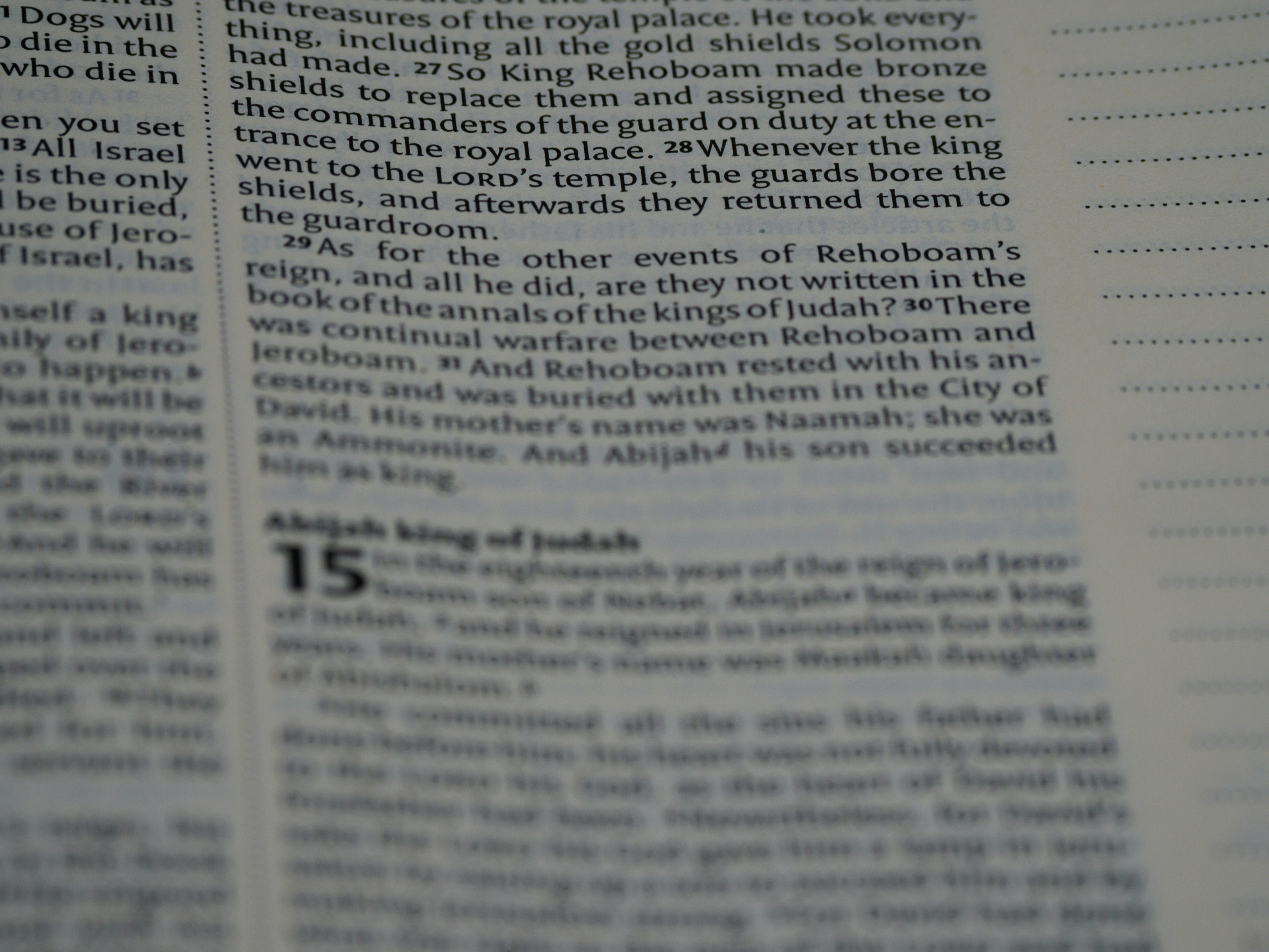 photo-1622808958573-11ca4728b792?ixid=M3wxMjA3fDB8MXxzZWFyY2h8Nnx8dWZhYmV0JTIwJUUwJUI4JTk3JUUwJUI4JUIyJUUwJUI4JTg3JUUwJUI5JTgwJUUwJUI4JTgyJUUwJUI5JTg5JUUwJUI4JUIyJTIwJUUwJUI4JUE1JUUwJUI5JTg4JUUwJUI4JUIyJUUwJUI4JUFBJUUwJUI4JUI4JUUwJUI4JTk0fGVufDB8fHx8MTc1OTcyMDQzMHww\u0026ixlib=rb-4.1.0