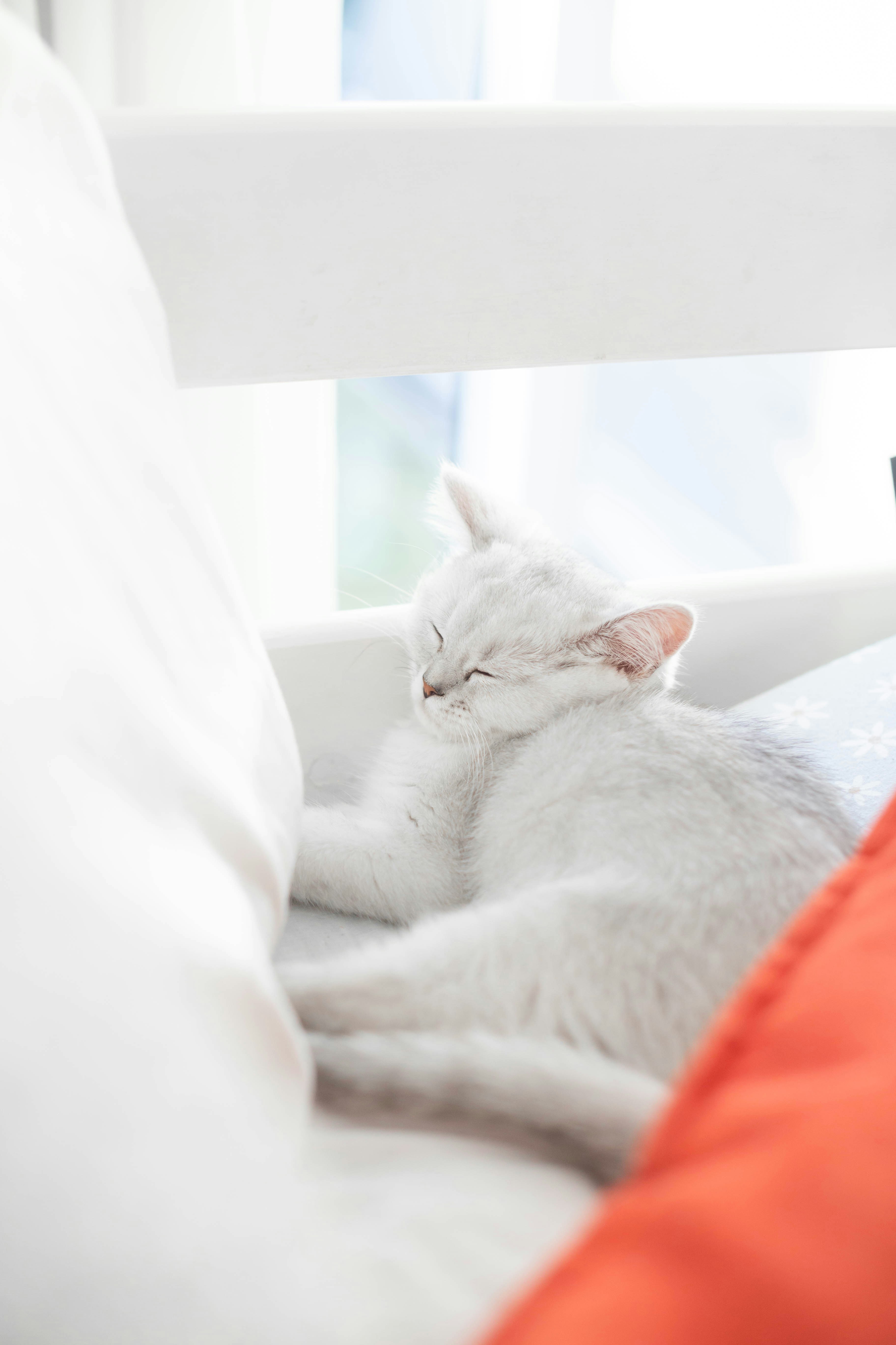 Photo by sincerelymedia