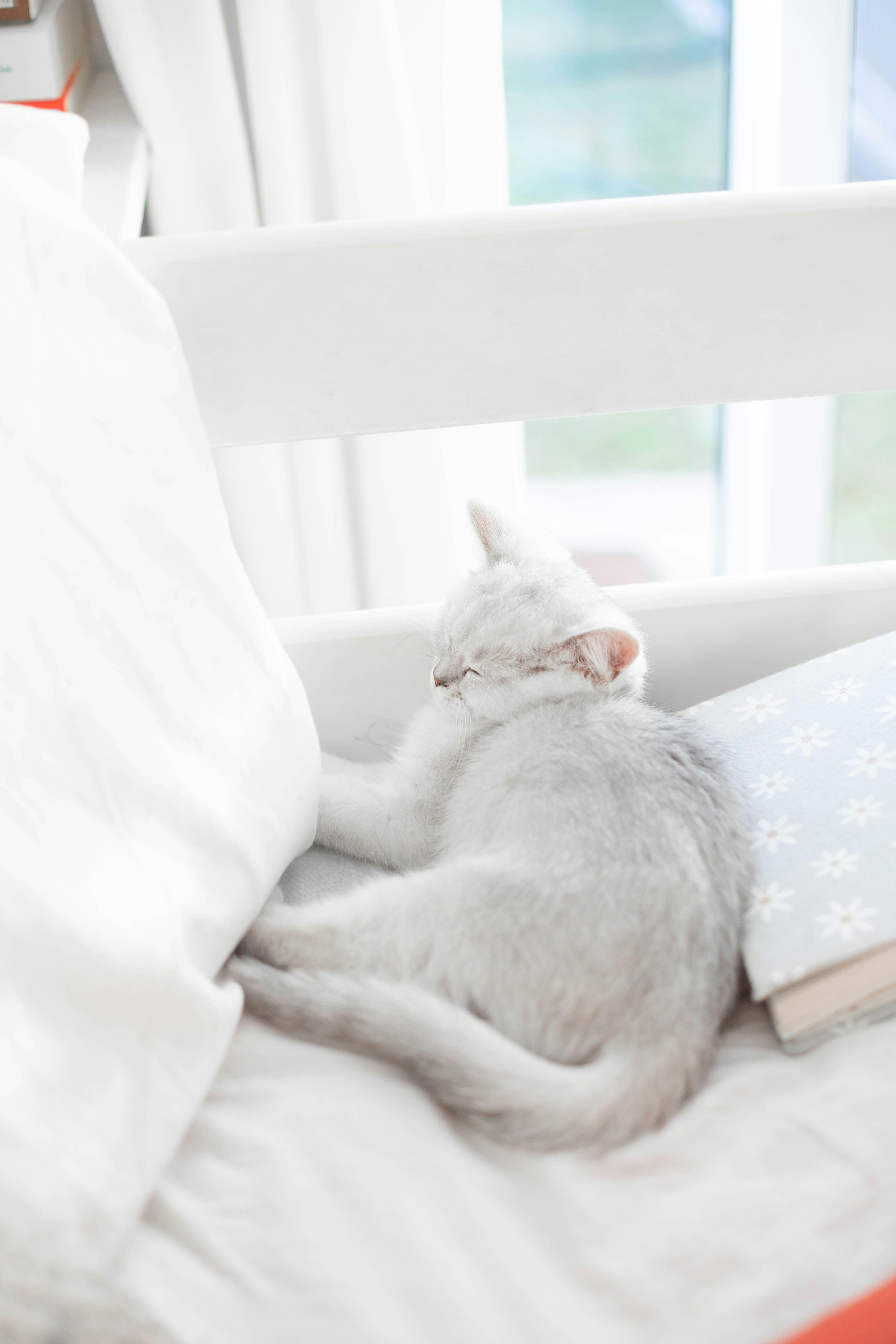 Photo by sincerelymedia