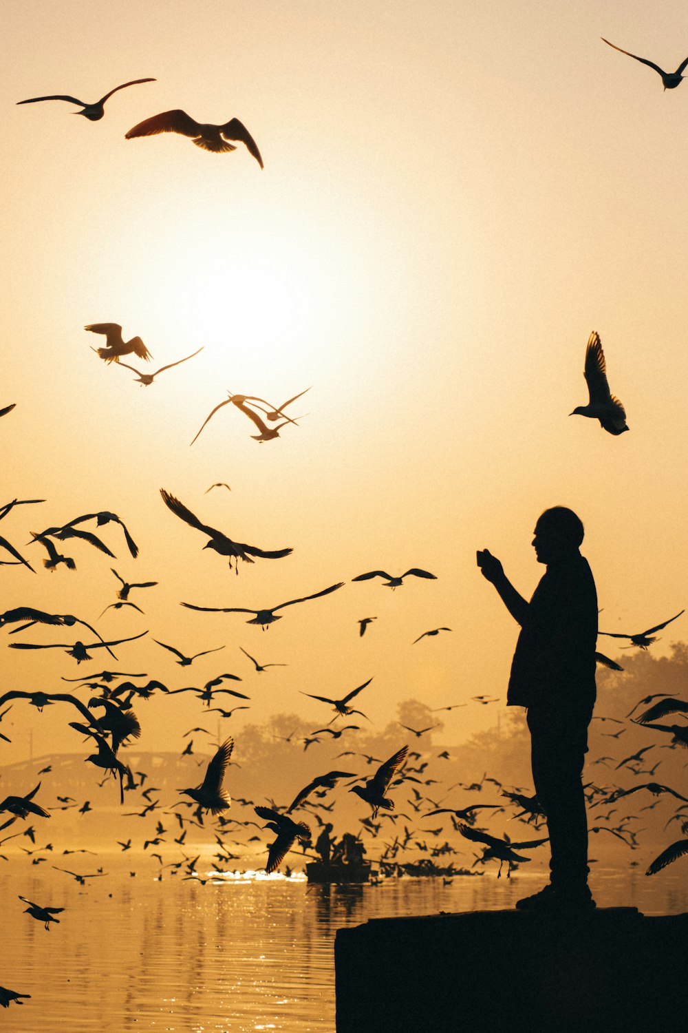 a flock of birds flying over a body of water