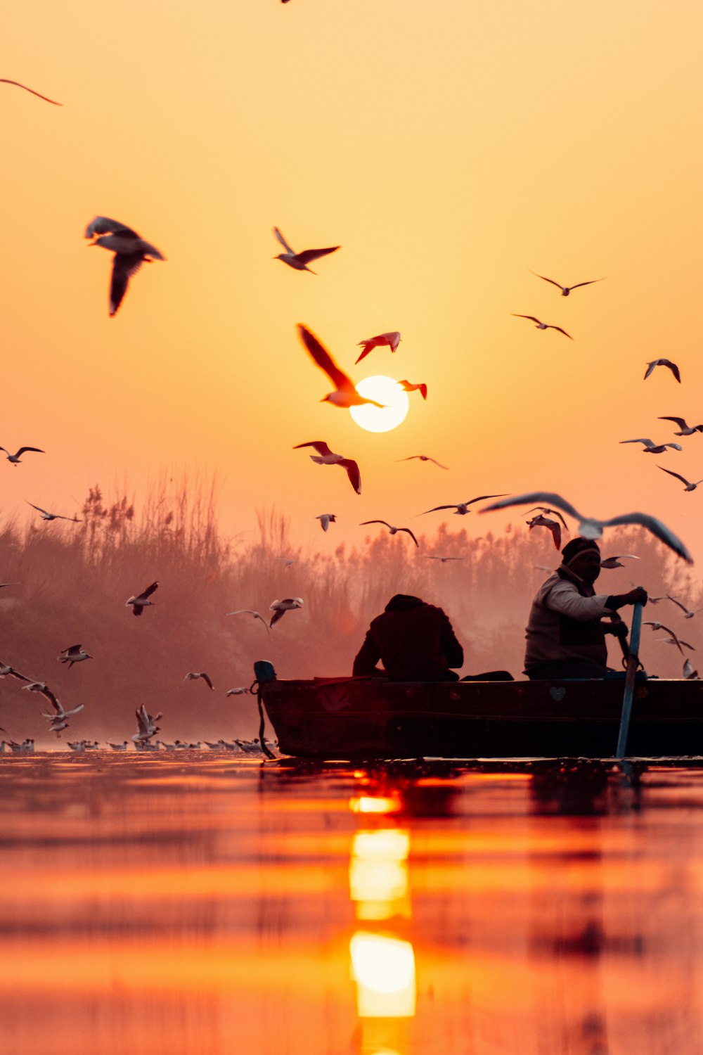 a group of people in a boat with birds flying around