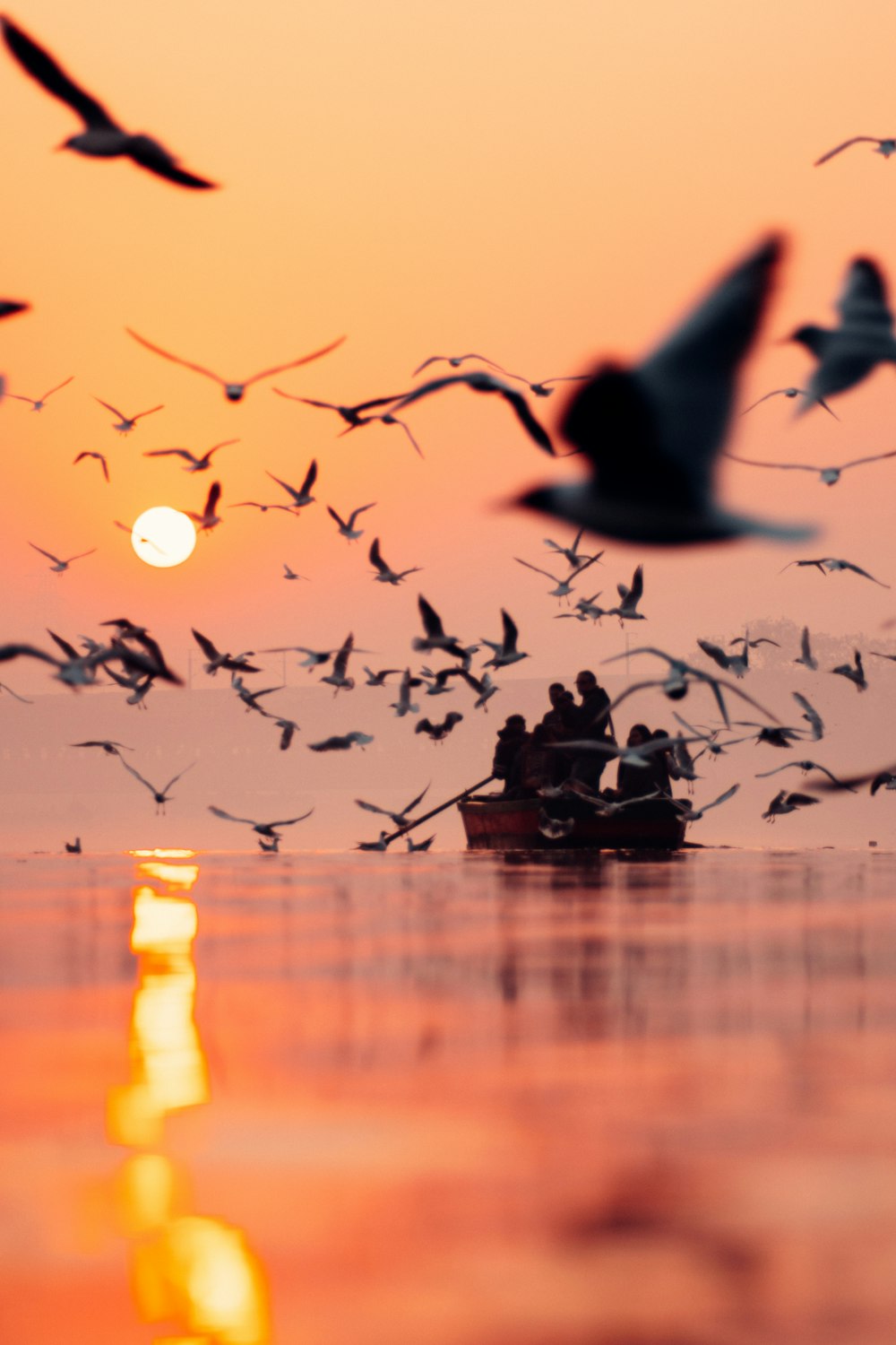a flock of birds flying over a boat in the ocean
