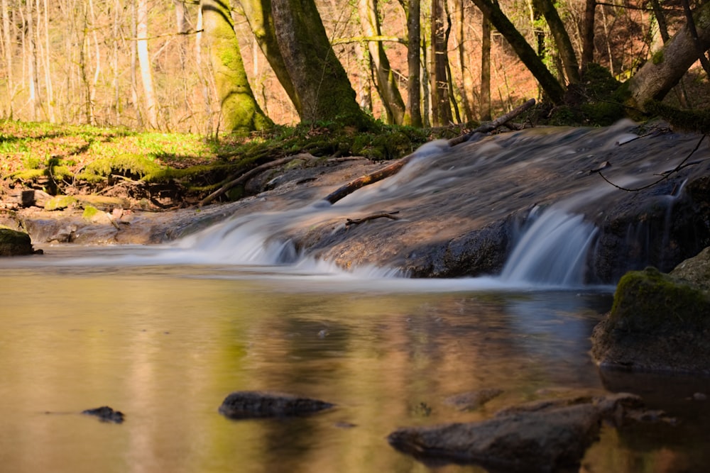 a small waterfall in the middle of a forest