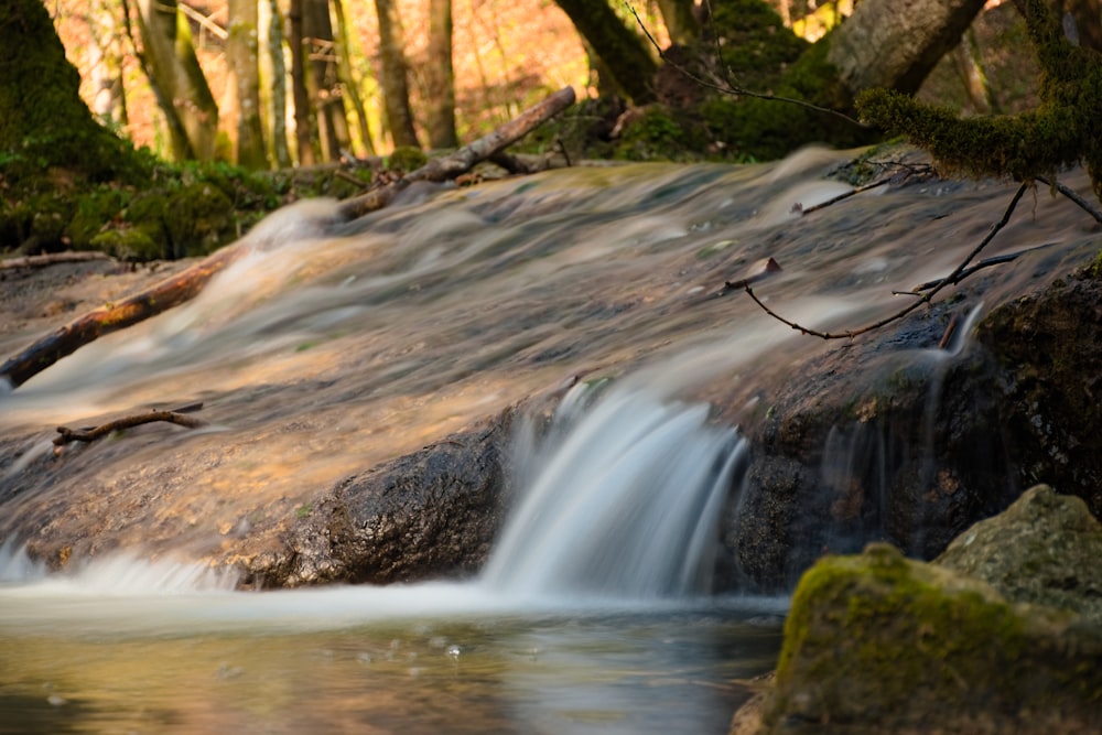 a small waterfall in the middle of a forest