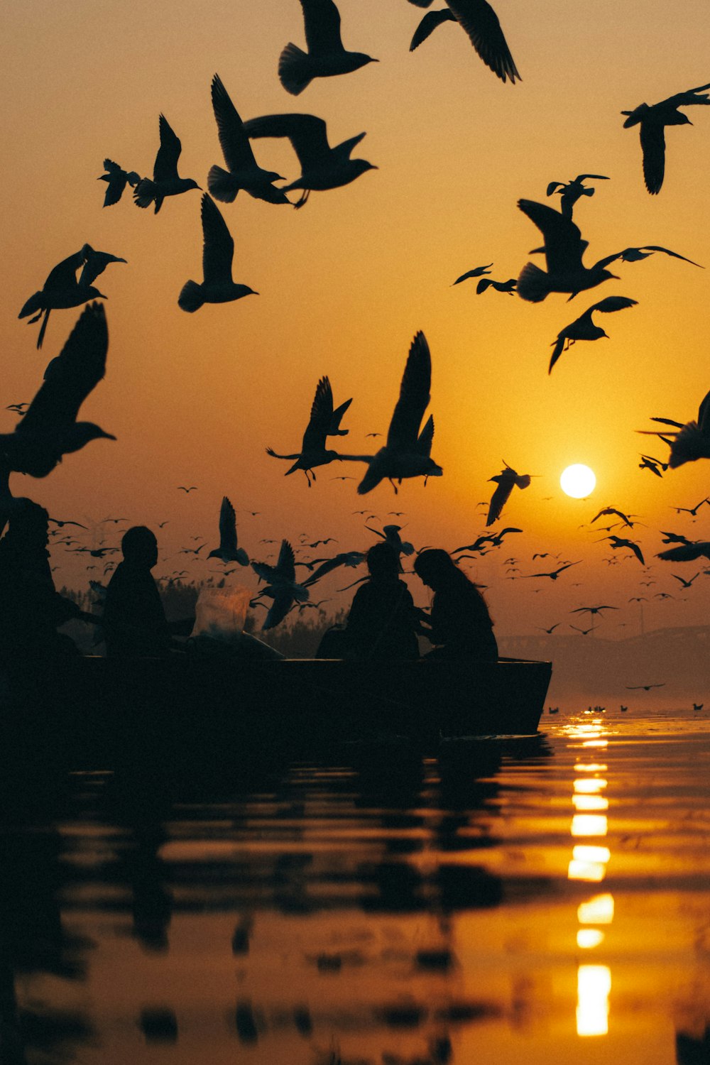 a flock of birds flying over a body of water