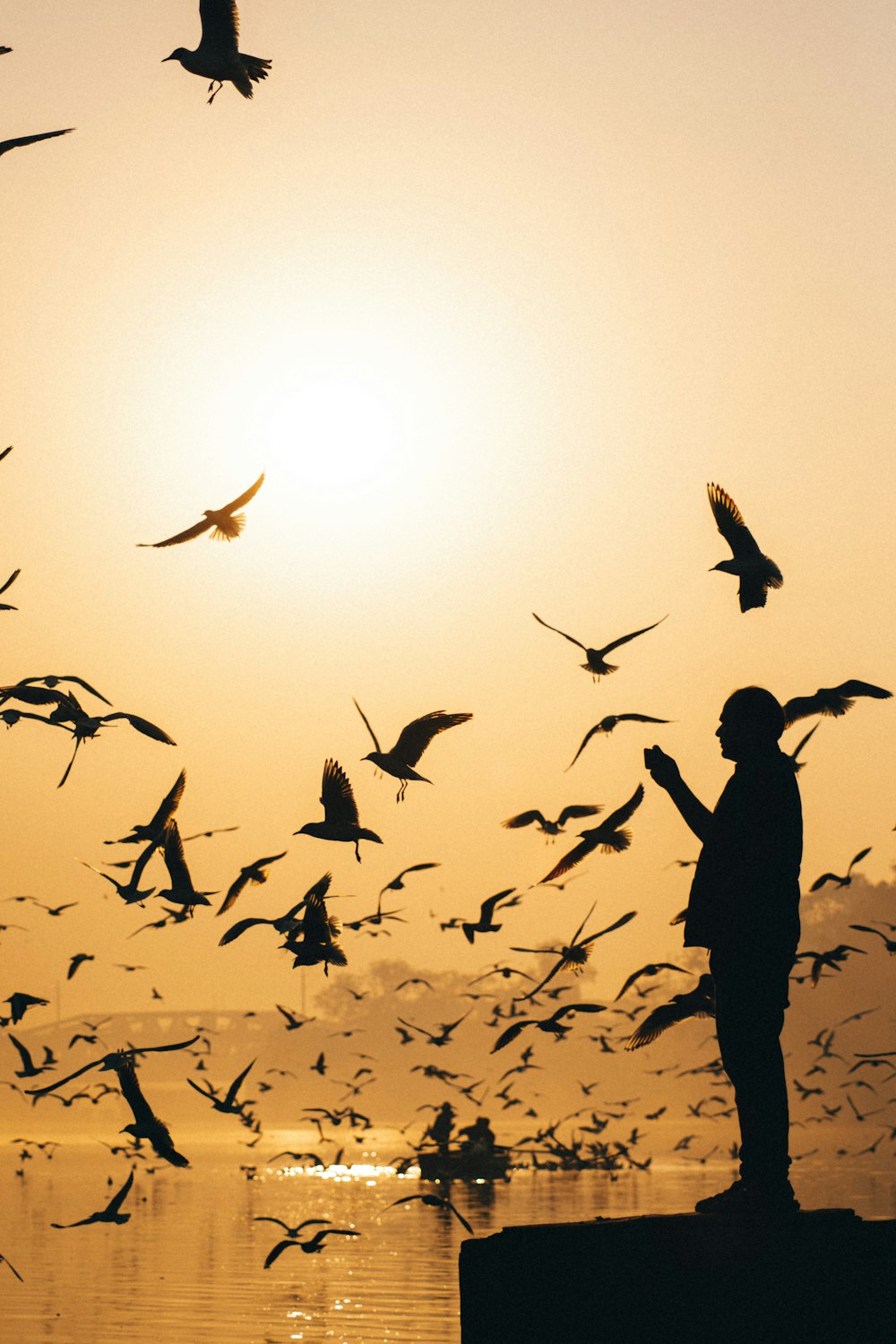 a flock of birds flying over a body of water