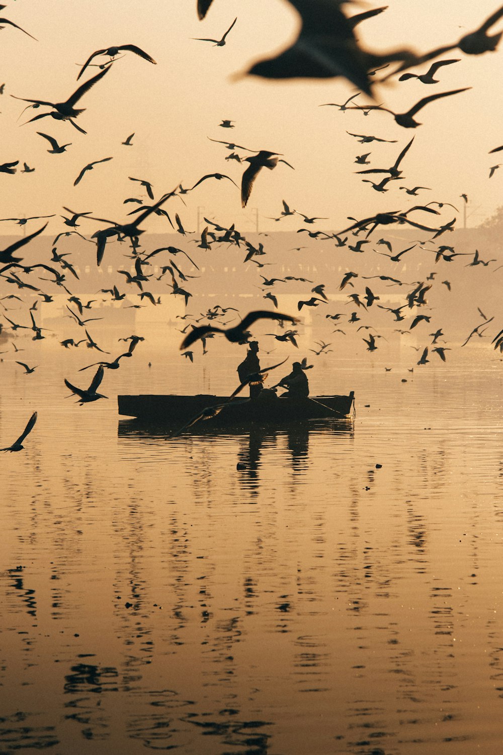 a man in a boat surrounded by birds