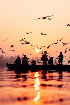 a group of people in a boat with birds flying over them