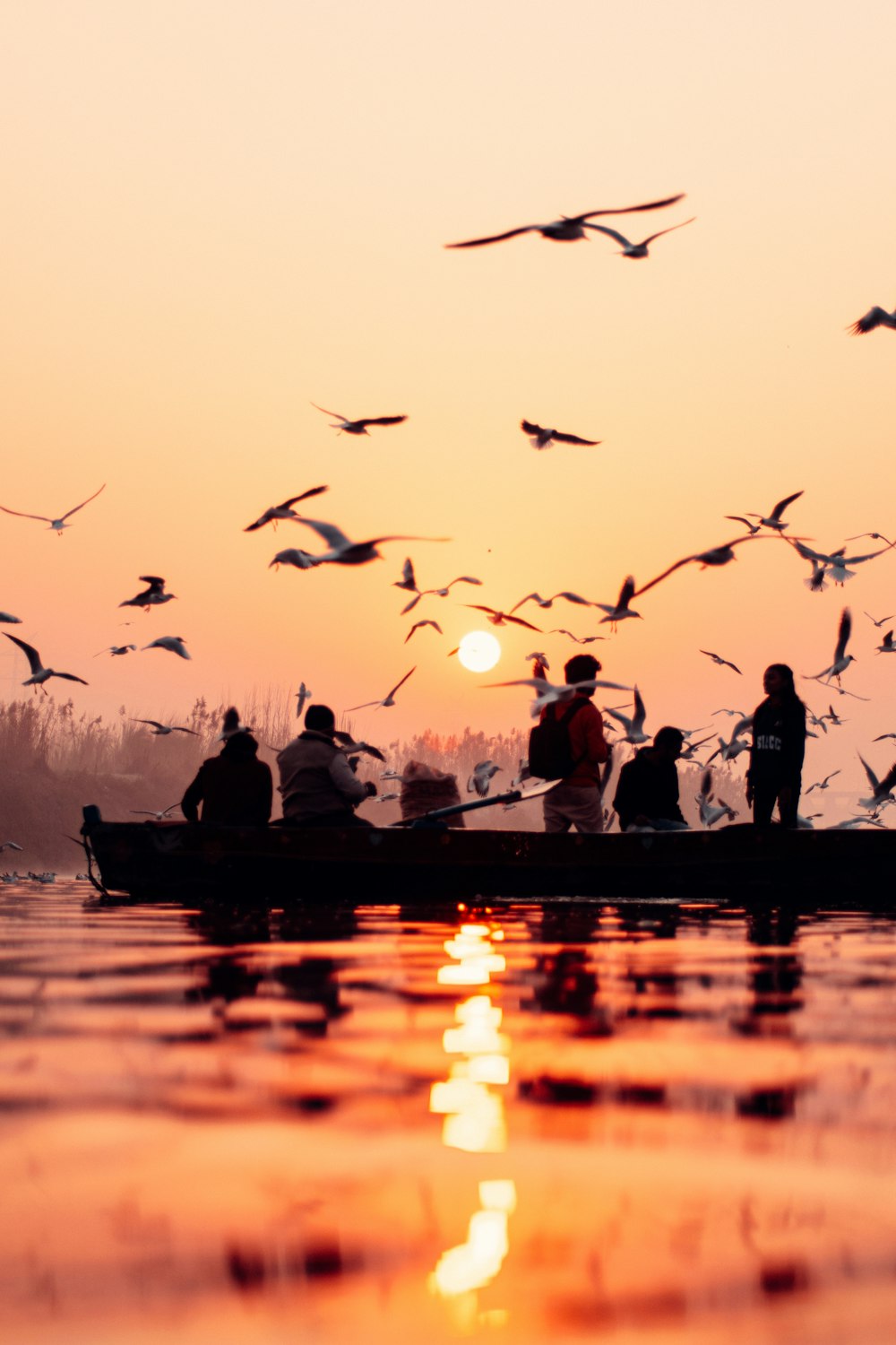 un groupe de personnes dans un bateau avec des oiseaux volant au-dessus d’eux