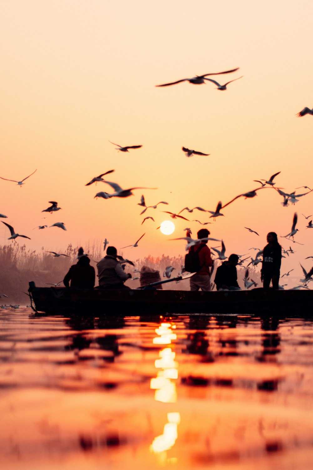 um grupo de pessoas em um barco com pássaros voando sobre eles