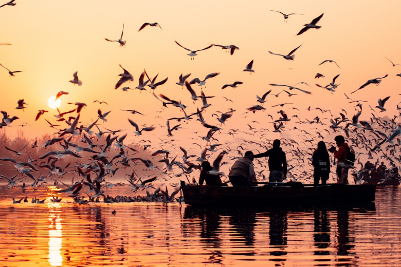 a group of people on a boat surrounded by seagulls