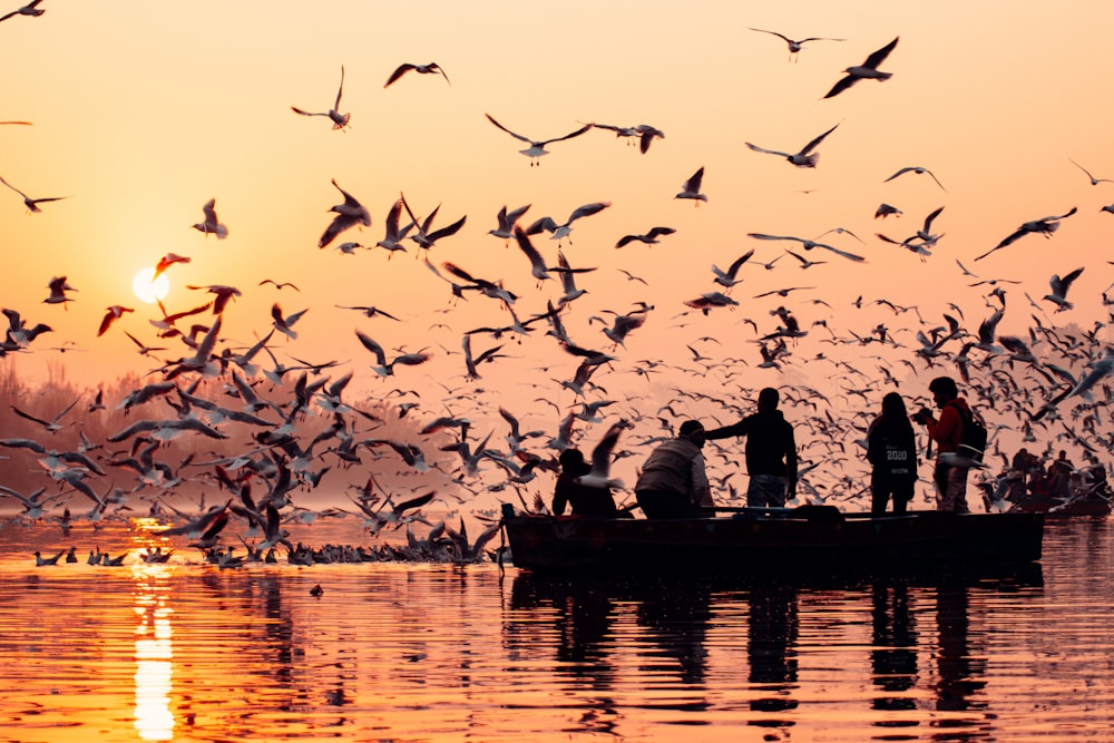 a group of people on a boat surrounded by seagulls