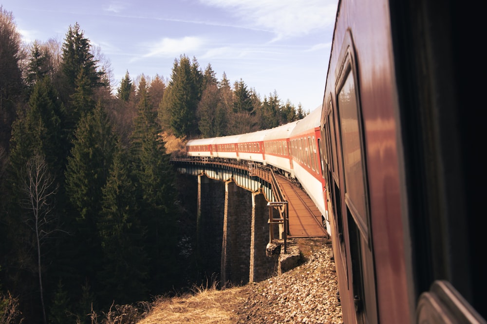 a train traveling over a bridge next to a forest