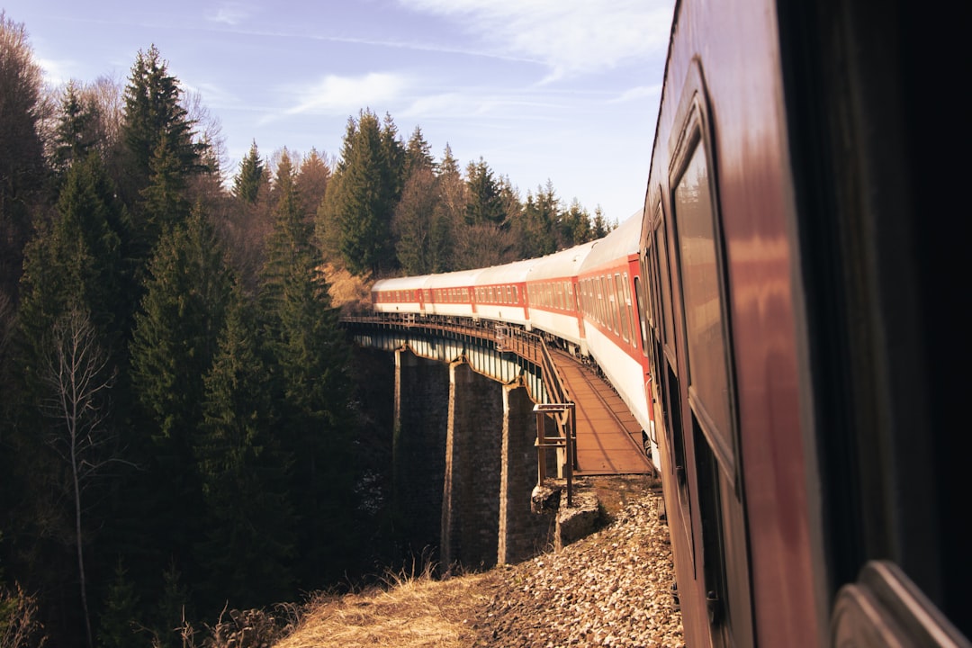 a train traveling over a bridge next to a forest, Train on viaduct in Slovak mountains.